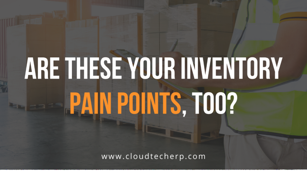 Are These Your Inventory Pain Points, Too